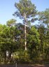 lot_2005_06_05/2005_05_27_005.jpg