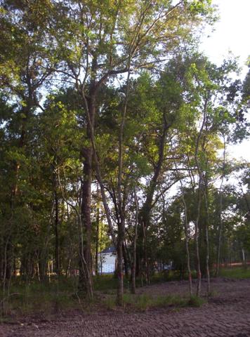 6_9_05_006__Small_.jpg