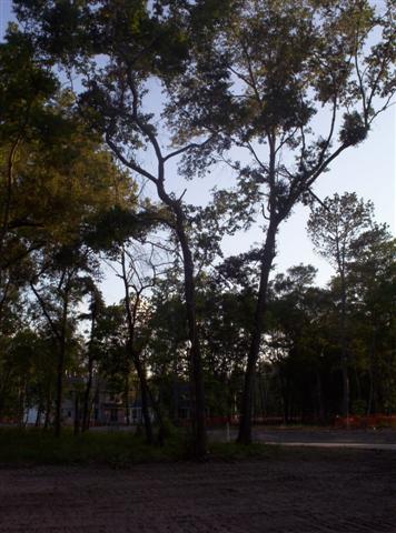 6_9_05_010__Small_.jpg
